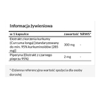 Apollo's Hegemony Curcumin 95 + Piperine suplement diety 120 kapsułek