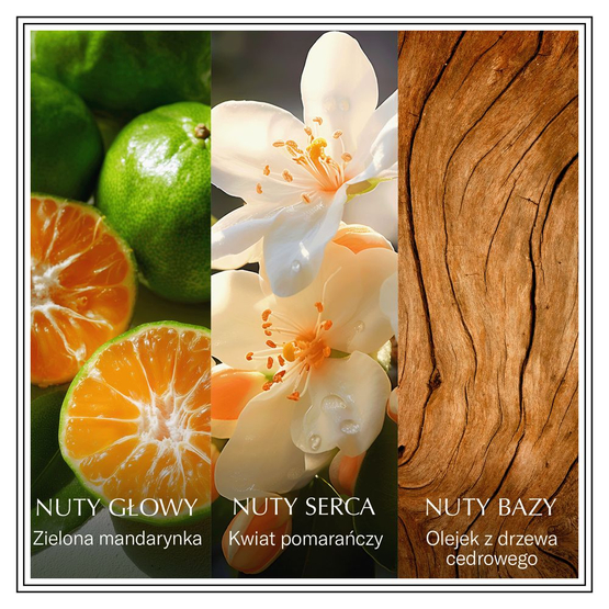 Coty Chanson d'Eau Neroli woda toaletowa spray 100ml