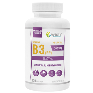 WISH Pharmaceutical Niacyna Witamina B3 (PP) 500mg + L-leucyna suplement diety 120 kapsułek